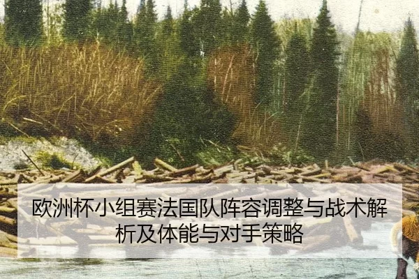 欧洲杯小组赛法国队阵容调整与战术解析及体能与对手策略
