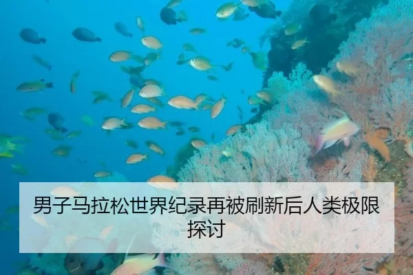 男子马拉松世界纪录再被刷新后人类极限探讨
